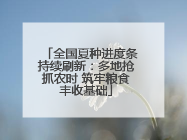 全国夏种进度条持续刷新：多地抢抓农时 筑牢粮食丰收基础