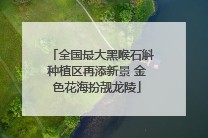 全国最大黑喉石斛种植区再添新景 金色花海扮靓龙陵