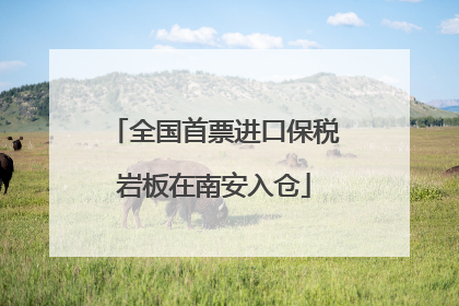 全国首票进口保税岩板在南安入仓