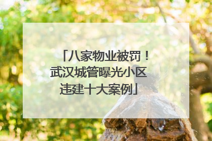 八家物业被罚！武汉城管曝光小区违建十大案例