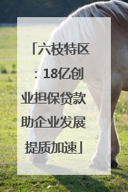 六枝特区：18亿创业担保贷款助企业发展提质加速