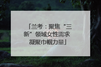 兰考：聚焦“三新”领域女性需求 凝聚巾帼力量