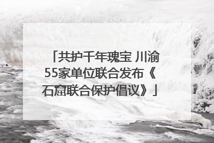 共护千年瑰宝 川渝55家单位联合发布《石窟联合保护倡议》