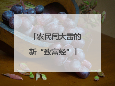 农民闫大雷的新“致富经”