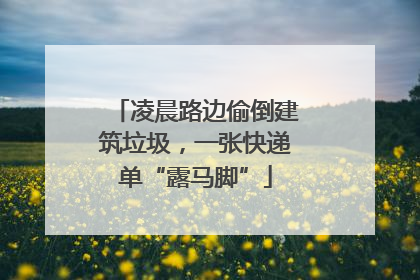 凌晨路边偷倒建筑垃圾，一张快递单“露马脚”