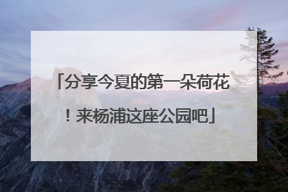 分享今夏的第一朵荷花！来杨浦这座公园吧