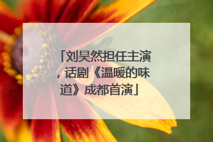 刘昊然担任主演，话剧《温暖的味道》成都首演