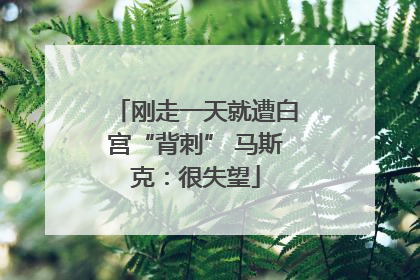 刚走一天就遭白宫“背刺” 马斯克：很失望