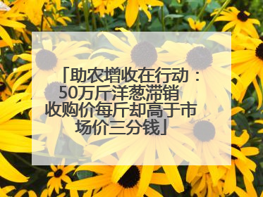 助农增收在行动：50万斤洋葱滞销 收购价每斤却高于市场价三分钱