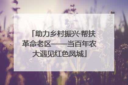 助力乡村振兴·帮扶革命老区——当百年农大遇见红色凤城