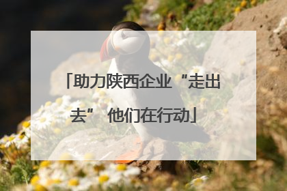 助力陕西企业“走出去” 他们在行动