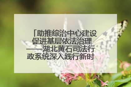 助推综治中心建设 促进基层依法治理——湖北黄石司法行政系统深入践行新时代枫桥经验