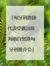 匈牙利恩捷代表受邀出席海南自贸港匈牙利推介会