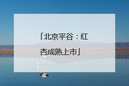 北京平谷：红杏成熟上市