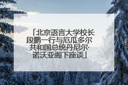 北京语言大学校长段鹏一行与厄瓜多尔共和国总统丹尼尔·诺沃亚阁下座谈