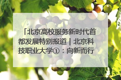 北京高校服务新时代首都发展特别报道｜北京科技职业大学①：向新而行，为首都低空经济发展提供“即战力”