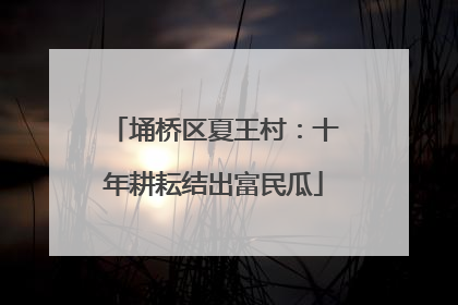 埇桥区夏王村：十年耕耘结出富民瓜