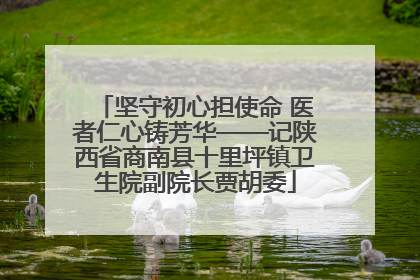 坚守初心担使命 医者仁心铸芳华——记陕西省商南县十里坪镇卫生院副院长贾胡委