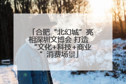 合肥“北幻城”亮相深圳文博会 打造“文化+科技+商业”消费场景