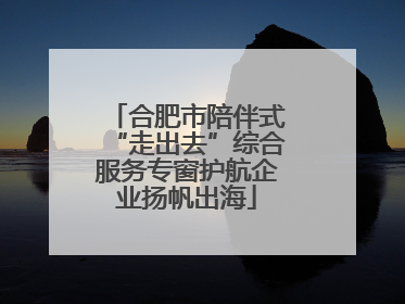 合肥市陪伴式“走出去”综合服务专窗护航企业扬帆出海