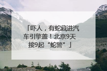 吓人，有蛇藏进汽车引擎盖！北京9天接9起“蛇警”