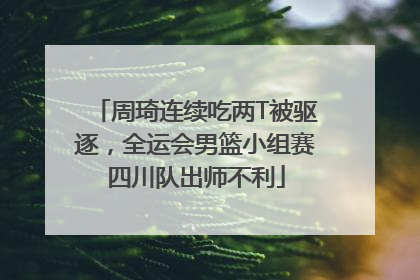 周琦连续吃两T被驱逐，全运会男篮小组赛四川队出师不利