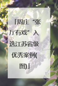 周庄“张厅有戏”入选江苏省级优秀案例(图)