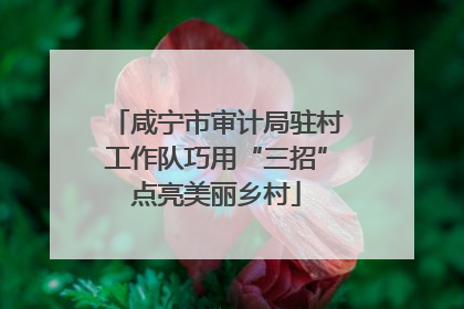 咸宁市审计局驻村工作队巧用“三招”点亮美丽乡村