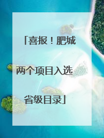 喜报！肥城两个项目入选省级目录