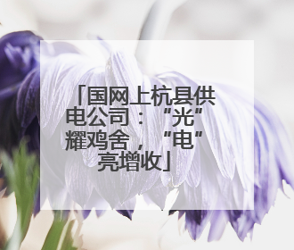 国网上杭县供电公司：“光”耀鸡舍，“电”亮增收
