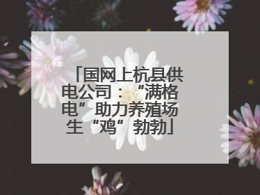国网上杭县供电公司：“满格电”助力养殖场生“鸡”勃勃