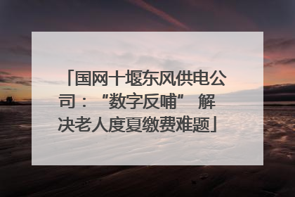 国网十堰东风供电公司：“数字反哺” 解决老人度夏缴费难题