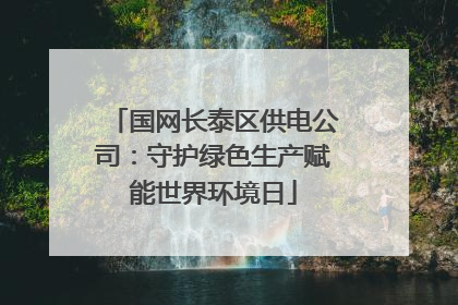 国网长泰区供电公司：守护绿色生产赋能世界环境日