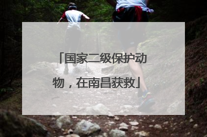国家二级保护动物，在南昌获救