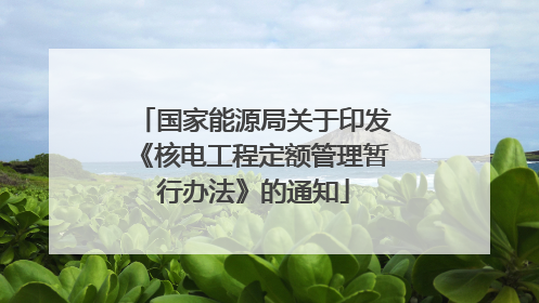 国家能源局关于印发《核电工程定额管理暂行办法》的通知