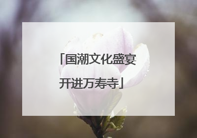 国潮文化盛宴开进万寿寺