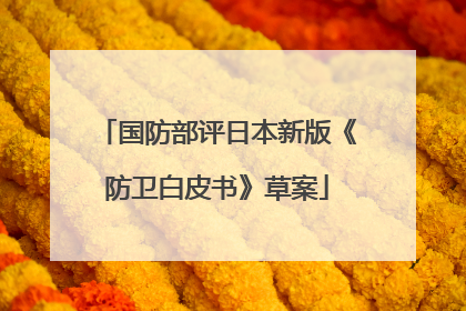 国防部评日本新版《防卫白皮书》草案