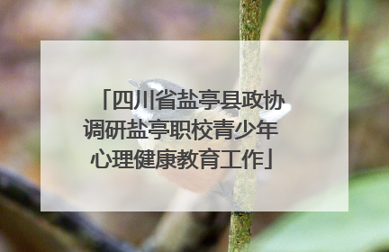 四川省盐亭县政协调研盐亭职校青少年心理健康教育工作