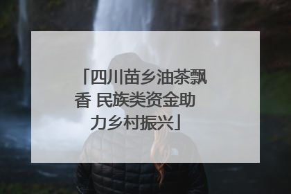 四川苗乡油茶飘香 民族类资金助力乡村振兴