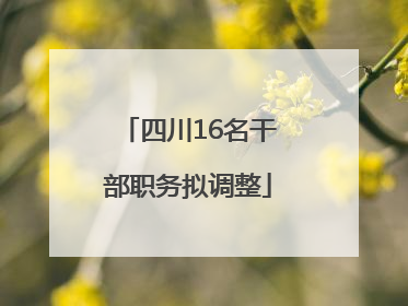 四川16名干部职务拟调整