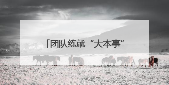 团队练就“大本事” 武汉霍尼特公司赋能头部车企智慧升级
