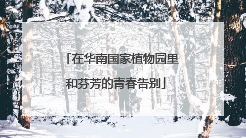 在华南国家植物园里和芬芳的青春告别