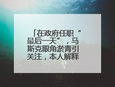 在政府任职“最后一天”，马斯克眼角淤青引关注，本人解释：儿子干的