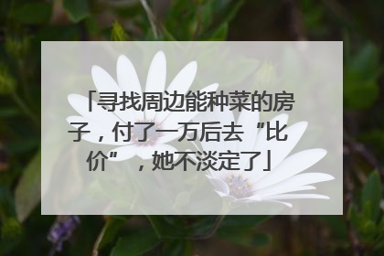 寻找周边能种菜的房子，付了一万后去“比价”，她不淡定了