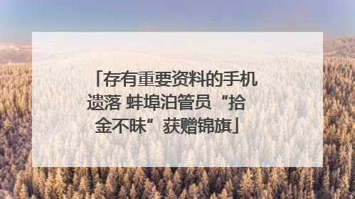 存有重要资料的手机遗落 蚌埠泊管员“拾金不昧”获赠锦旗
