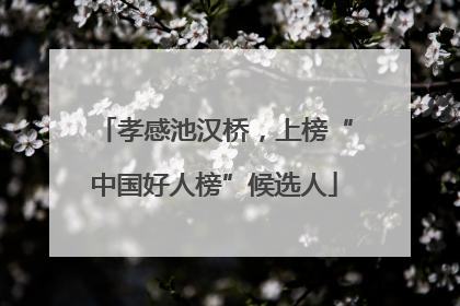 孝感池汉桥，上榜“中国好人榜”候选人
