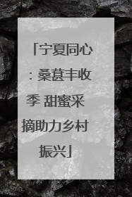 宁夏同心：桑葚丰收季 甜蜜采摘助力乡村振兴