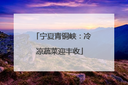 宁夏青铜峡：冷凉蔬菜迎丰收