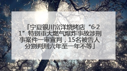 宁夏银川富洋烧烤店“6·21”特别重大燃气爆炸事故涉刑事案件一审宣判，15名被告人分别判刑六年至一年不等