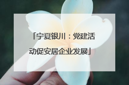 宁夏银川：党建活动促安居企业发展